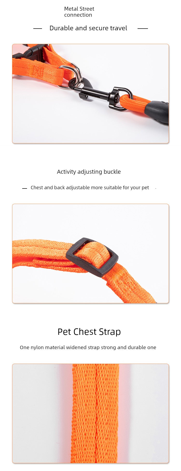 Harness and Leash for Small to Medium Sized Dogs