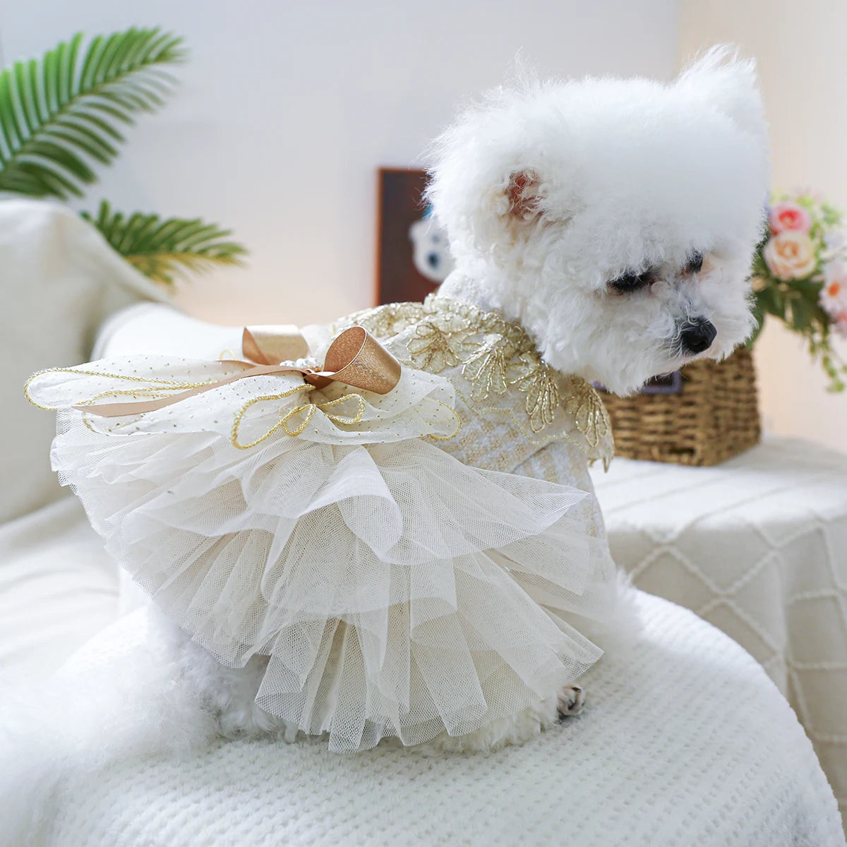 1PC Pet Clothing Spring and Autumn Dream Starry Wedding Dress Princess Dress Suitable for Small and Medium sized Dogs