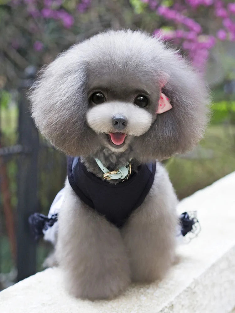 Dog Skirts Pet Wedding Dresses Pet Dresses Poodle Bichon Frise Princess Dress Summer Dog Dresses