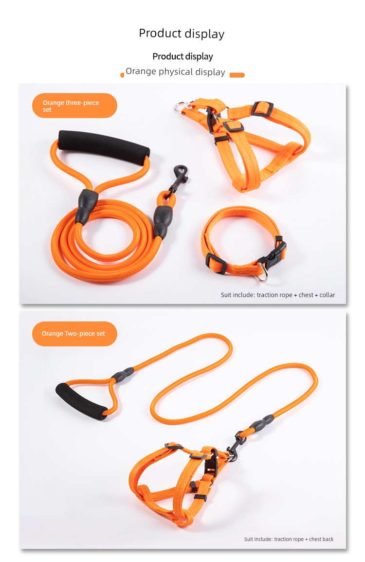 Harness and Leash for Small to Medium Sized Dogs