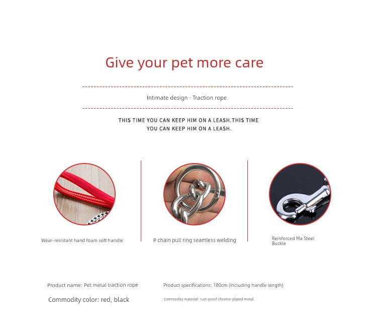 Iron Chain Anti-Bite Medium Large Dog Dog Hand Holding Rope