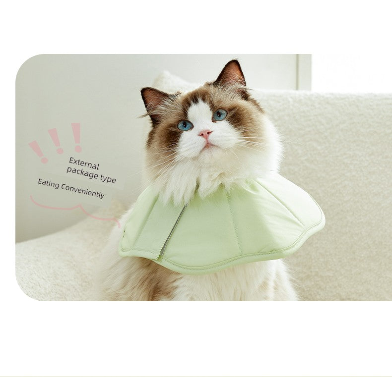 Macaron for Common Dogs Anti-Licking Bite Sterilization Cat