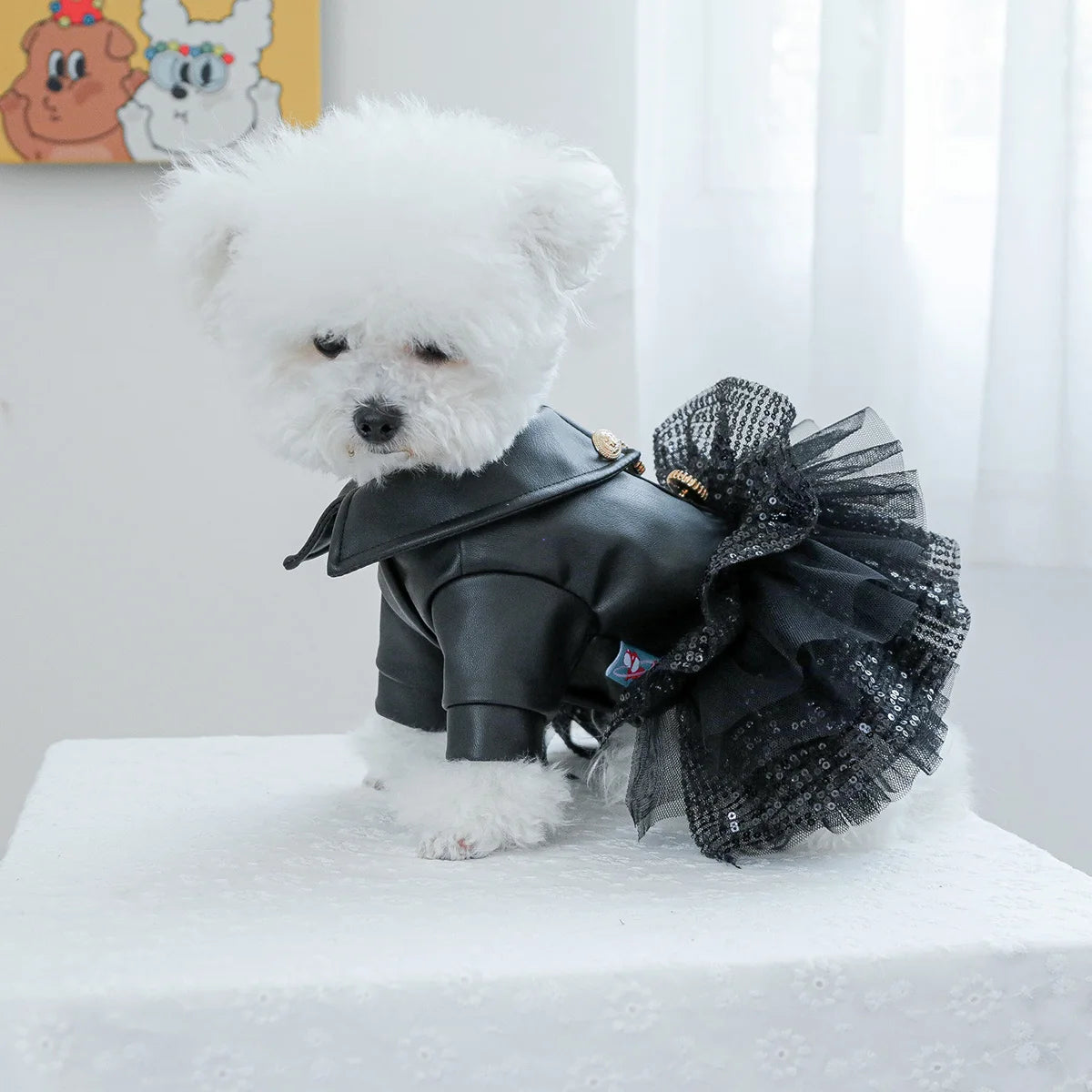 Autumn punk sequin leather Dog Clothing  princess pet dress less dog dress for small to medium dog  Chihuahua Yorkies Dress