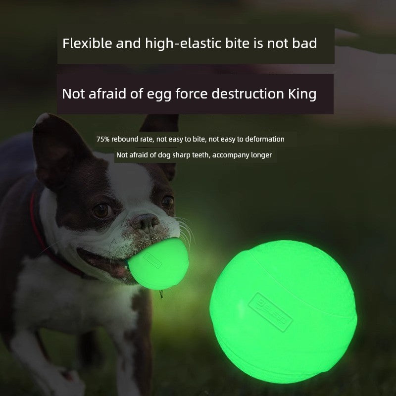 Super Elastic Dog Luminous Ball Luminous Elastic Ball Toy Bite-Resistant Relieving Stuffy Large, Medium and Small Dogs Molar Pet Toy