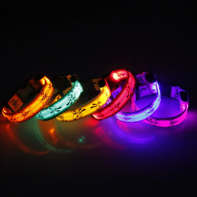 LED Luminous USB Charging Small and Medium-Sized Dogs Pet Dog