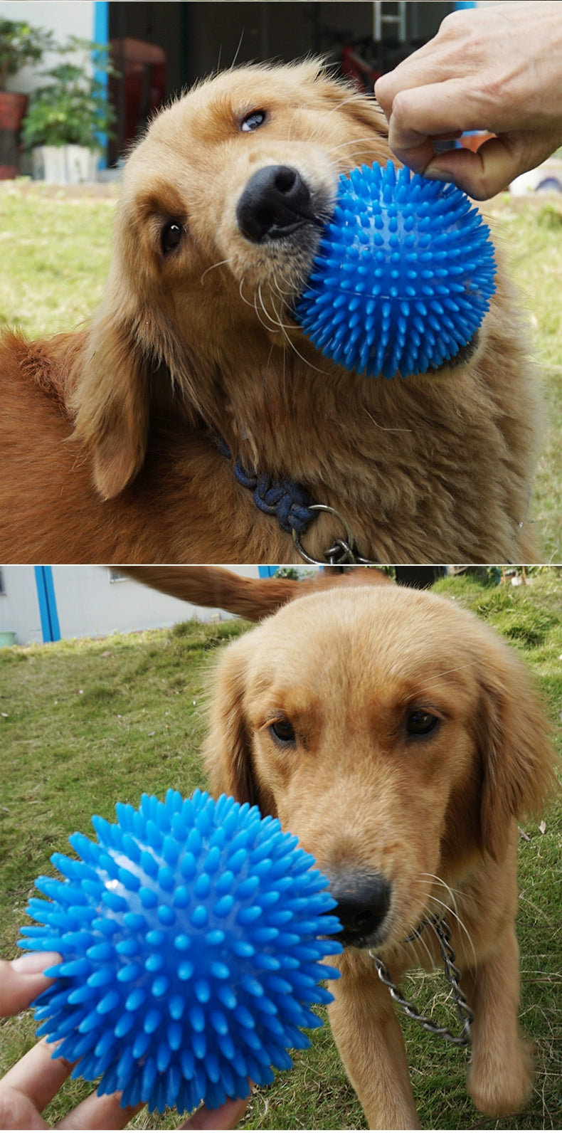 Sound Cleaning Elastic Ball