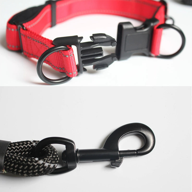 Long Leash and Collar for Large Dogs