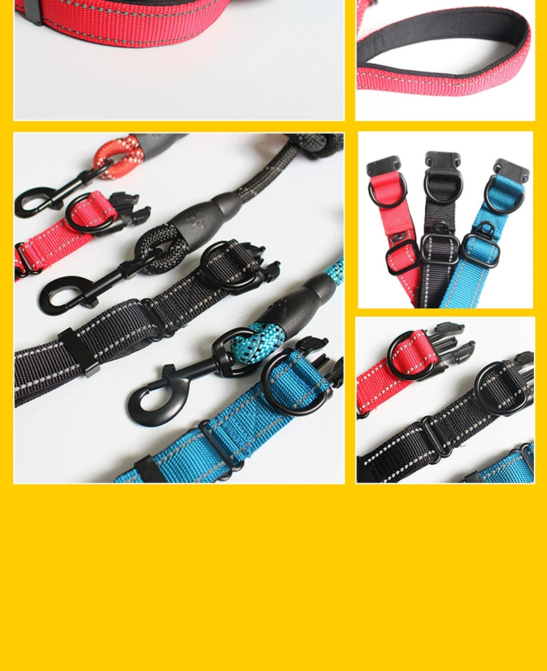 Long Leash and Collar for Large Dogs