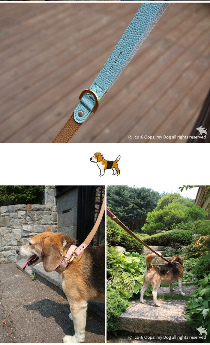 Spring and Summer Travel Rope Soft 1.2 M Dog Walking