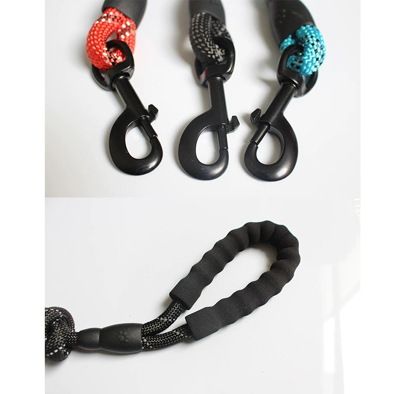 Long Leash and Collar for Large Dogs