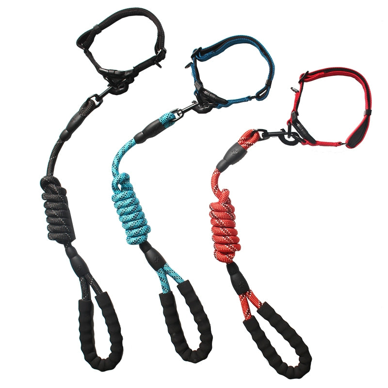 Long Leash and Collar for Large Dogs